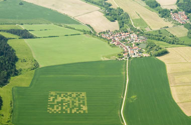 cropfield.jpg
