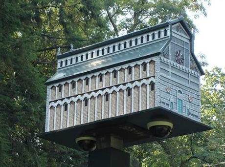 Bird House Camera