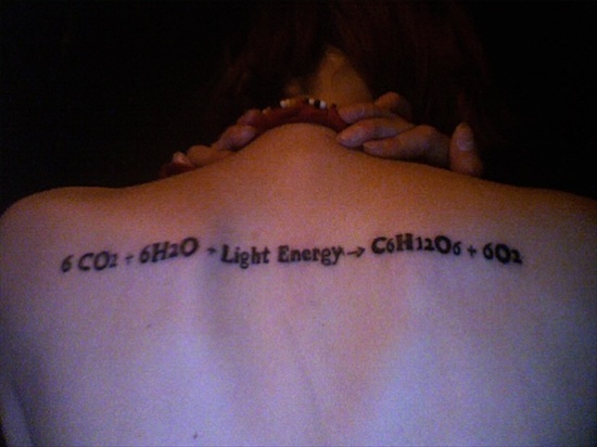 photosynthesistat Photosynthesis Equation Tattoo Takes Ecology to the 