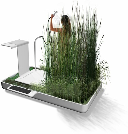 phyto-purification-bathroom1 phyto-purification-bathroom1