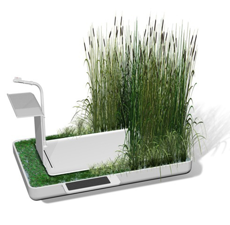 phyto-purification-bathroom2 phyto-purification-bathroom2