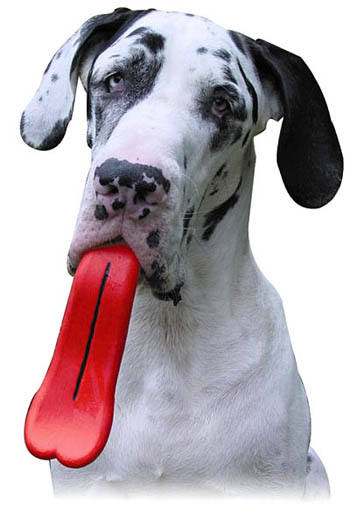tongue-dog-toy tongue dog toy Oversized Tongue Dog Toy Channels Gene Simmons