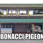 fibonacci-pigeons