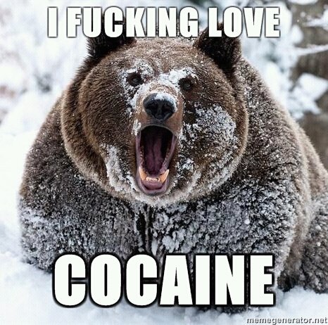 cocaine-bear.jpg