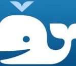 beluga 2