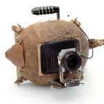 animal-camera2