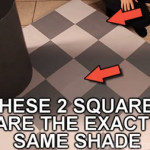shade-illusion