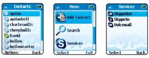 skype screen