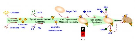 NanofactoryScheme_lg_1.jpg