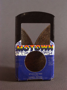 lg_case77.jpg
