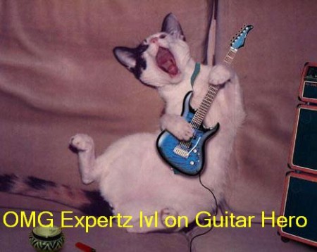 cat_guitarhero
