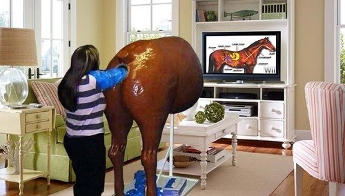 horse_controller