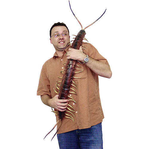 posable-centipede