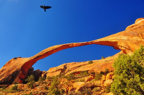 Arches National Park by Bill Gracey