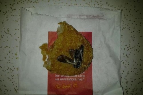 Cockroach Hashbrowns