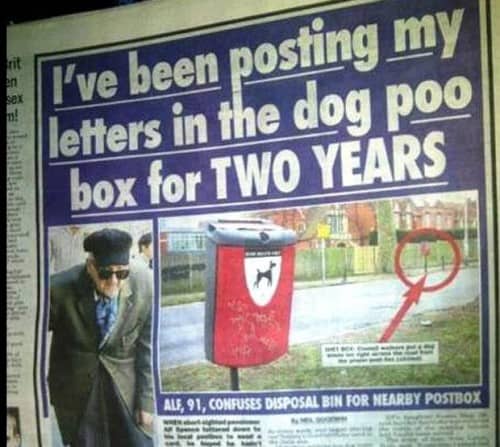 Dog Poop Mailbox