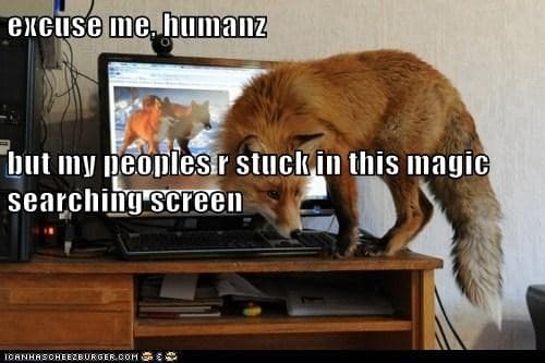 Fox Computer