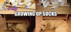 Growing Up Sucks