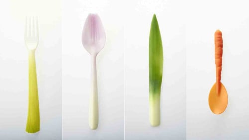 Biodegradable Cutlery