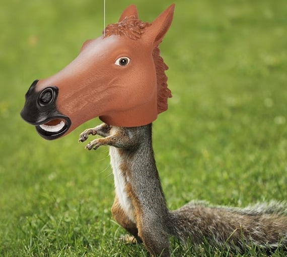 horsehead-squirrel-feeder