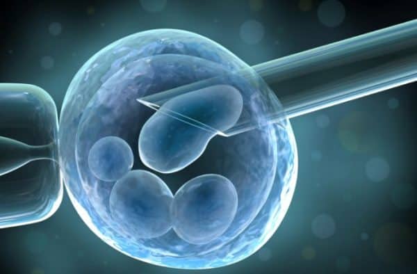 adult-stem-cell-cloning-670-1