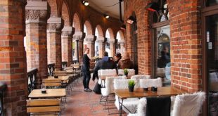 travel tips for foodies