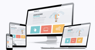 Professional website