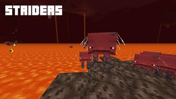 Minecraft 1.16.40.02 for Android - Download APK