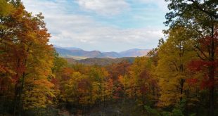 Pick A Vacation In Nature! – Top 6 Gatlinburg Must-Visits For All Nature-Lovers