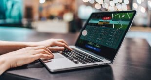 Software for casino business