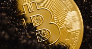 Subtle Forces: Bitcoin's Role in Shaping Crypto