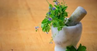 7 Surprising Health Herbs You Need To Add To Your Daily Routine