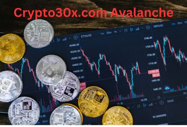 What Is Crypto30x.com Avalanche?