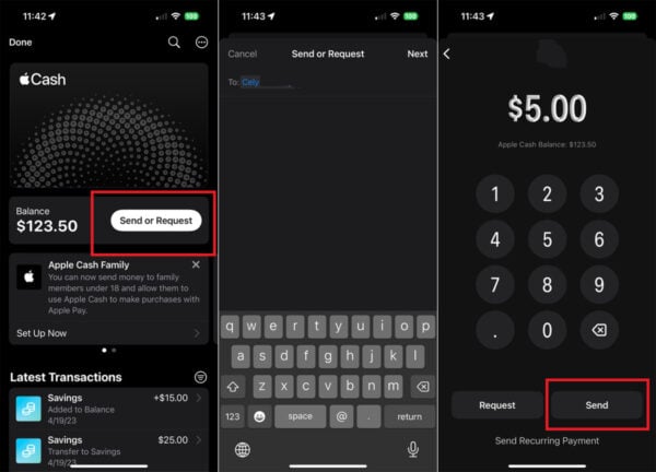 Try Sending an Apple Pay Request