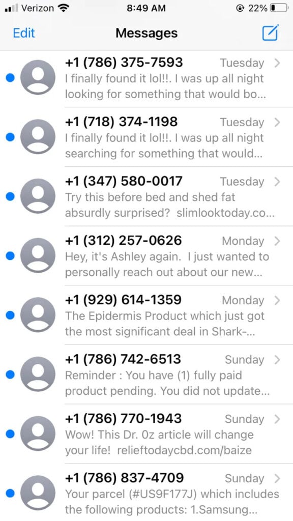 The Rise of Spam Texts 