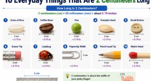 10 Everyday Things That Are 2 Centimeters Long (How Long is 2 Centimeters)