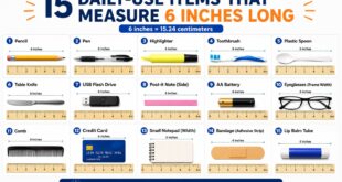 15 Daily-Use Items That Measure 6 Inches Long