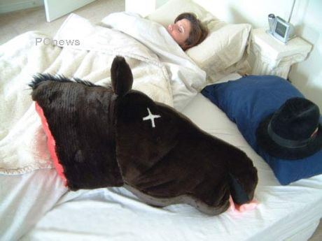 horse head pillow